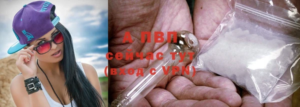 хмурый Новозыбков