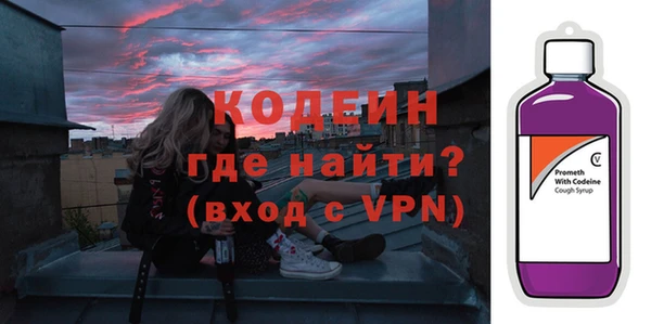 хмурый Новозыбков