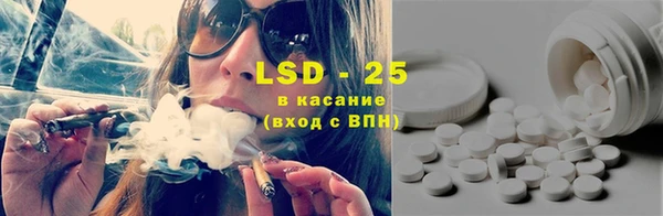 хмурый Новозыбков