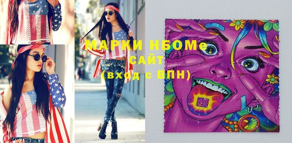 хмурый Новозыбков