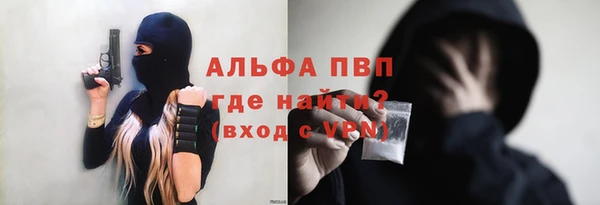 эйфоретик Новодвинск