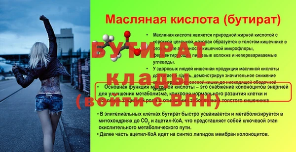 хмурый Новозыбков