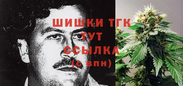 ешки Новокубанск