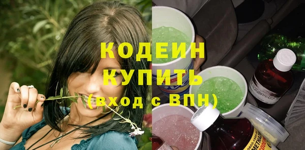 хмурый Новозыбков