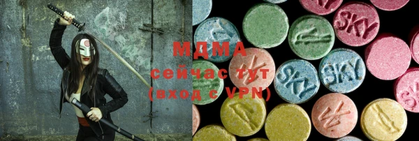 хмурый Новозыбков