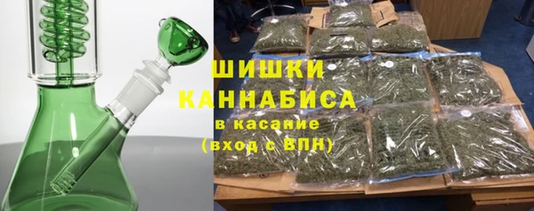 хмурый Новозыбков