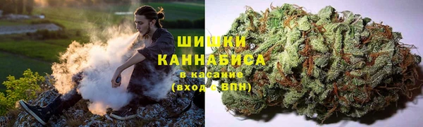 эйфоретик Новодвинск