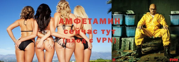 хмурый Новозыбков