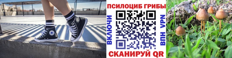 дарнет шоп  Сегежа  Галлюциногенные грибы ЛСД 